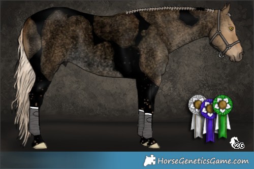 Horse Color:Void Chocolate Palomino Roan Dun Tobiano Rabicano 