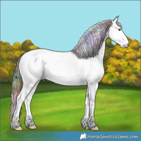 Horse Color:Nacre Plaid Buckskin Ice Sabino Splash Tobiano Appaloosa