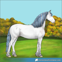 Horse Color:Painted White Spotted Smoky Black Ice Splash Tobiano Appaloosa