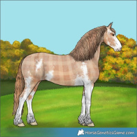Horse Color:Plaid  Chestnut Sabino Varnish 