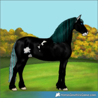 Horse Color:Painted Grullo Ice Splash Tobiano
