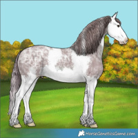 Horse Color:Watercolor Chestnut Ice Sabino Splash 