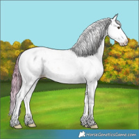Horse Color:Watercolor Chestnut Ice Sabino Splash