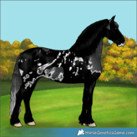 Horse Color:ERROR: UNKNOWN ANOMALY