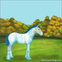 Horse Color:Painted Thunderstruck Bay Ice Dun Sabino Tobiano Blanket 