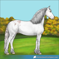Horse Color:Watercolor Palomino Ice Sabino Tobiano Appaloosa