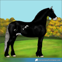Horse Color:Black Ice Splash Tobiano Snowcap 