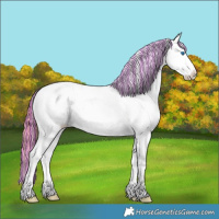 Horse Color:Painted Chestnut Ice Splash Tobiano Near Fewspot 