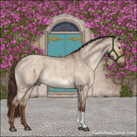 Horse Color:Liver Red Dun Roan Brindle