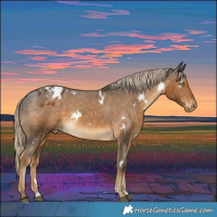 Horse Color:White Spotted Chocolate Palomino Varnish Rabicano 