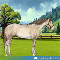 Horse Color:Chocolate Buckskin Pearl Rabicano 
