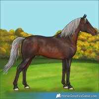 Horse Color:Silver Brown 