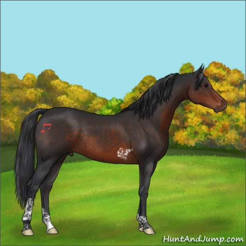 Horse Color:Brown Tobiano Rabicano 