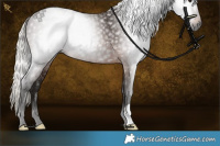 Horse Color:Gray Silver Bay