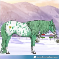 Horse Color:Watercolor Smoky Black Blanket Rabicano