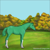 Horse Color:Watercolor Black 