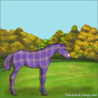 Horse Color:Watercolor Plaid Black Rabicano