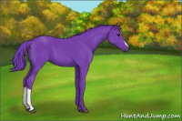 Horse Color:Watercolor Black 