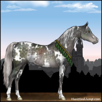 Horse Color:Platinum White Spotted Chocolate Palomino 