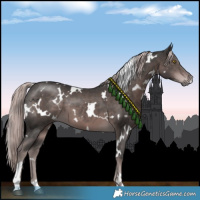 Horse Color:Platinum White Spotted Liver Chestnut