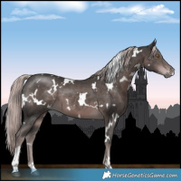 Horse Color:Platinum White Spotted Liver Chestnut 