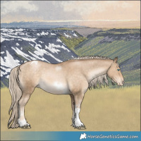 Horse Color:White Spotted Chocolate Palomino Pearl Mushroom Tobiano Frame Appaloosa Rabicano 