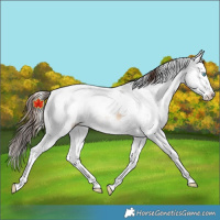 Horse Color:Brown Pearl Onyx Sabino Splash 