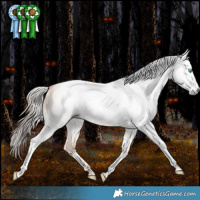 Horse Color:Gray White Spotted Classic Champagne Pearl Dun Splash Tobiano Frame Rabicano