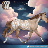 Horse Color:White Spotted Grullo Pearl Tobiano Appaloosa Rabicano