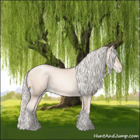 Horse Color:Gold Cream Champagne Pearl 