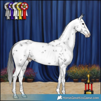 Horse Color:White Spotted Black Sabino
