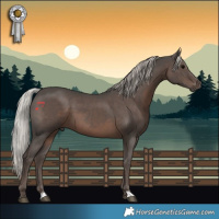 Horse Color:Silver Black