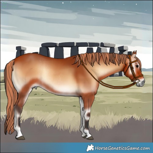 Horse Color:Painted Bay Onyx Rabicano 