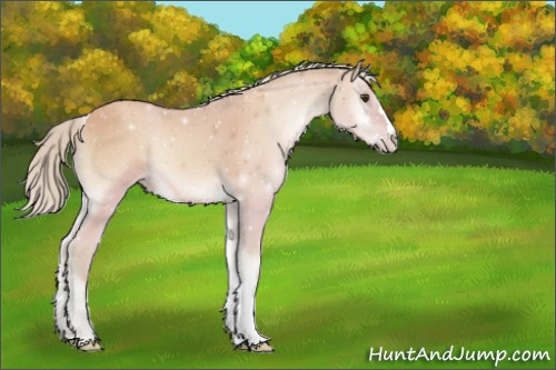 Horse Color:Watercolor Silver Amber Champagne Onyx 
