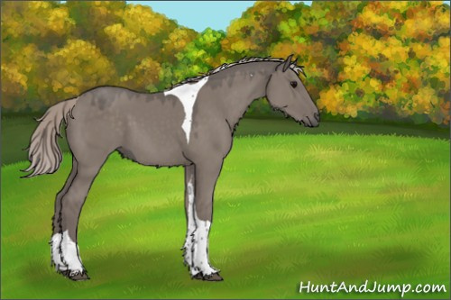 Horse Color:Silver Grullo Tobiano 