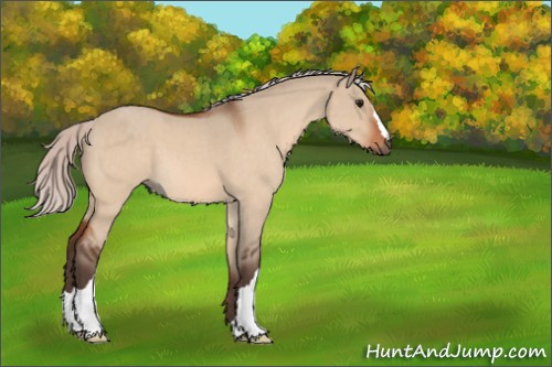 Horse Color:Silver Bay Roan Dun 