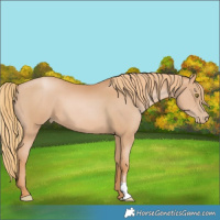 Horse Color:Chestnut Pearl 