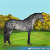 Horse Color:Platinum Brown Dun 