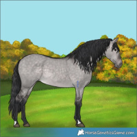Horse Color:Platinum Brown Dun 