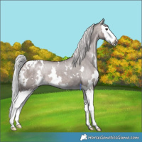 Horse Color:Platinum White Spotted Silver Bay Dun Splash Varnish 