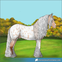 Horse Color:Silver Classic Champagne Dun Splash Tobiano Frame Near Leopard