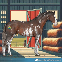Horse Color:White Spotted Liver Chestnut Sabino Splash 