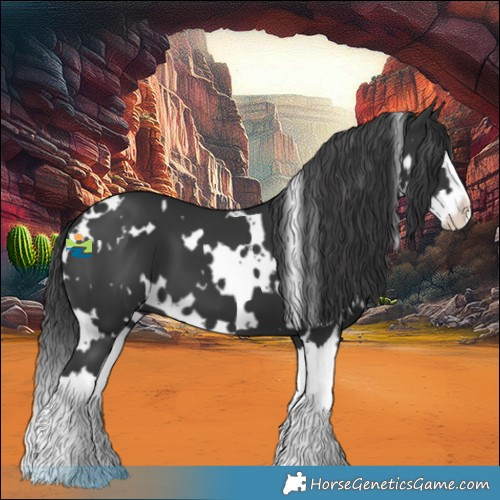 Horse Color:White Spotted Black Splash 