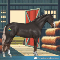 Horse Color:Liver Chestnut Mushroom 