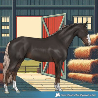 Horse Color:Liver Chestnut Mushroom 