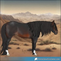Horse Color:Brown 