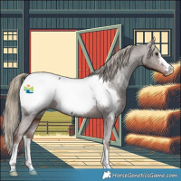 Horse Color:Liver Chestnut Snowcap 