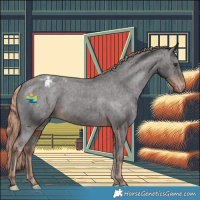 Horse Color:Liver Chestnut Appaloosa 