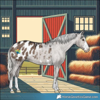Horse Color:Liver Red Dun Mushroom Appaloosa Brindle 