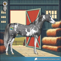 Horse Color:White Spotted Black Splash Appaloosa 